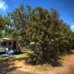 Stork Family Collection - Bild 4