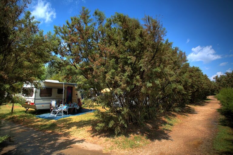 Stork Family Collection - Bild 4