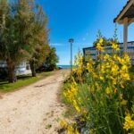 Stork Family Collection - Bild 5