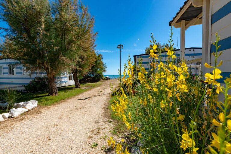 Stork Family Collection - Bild 5