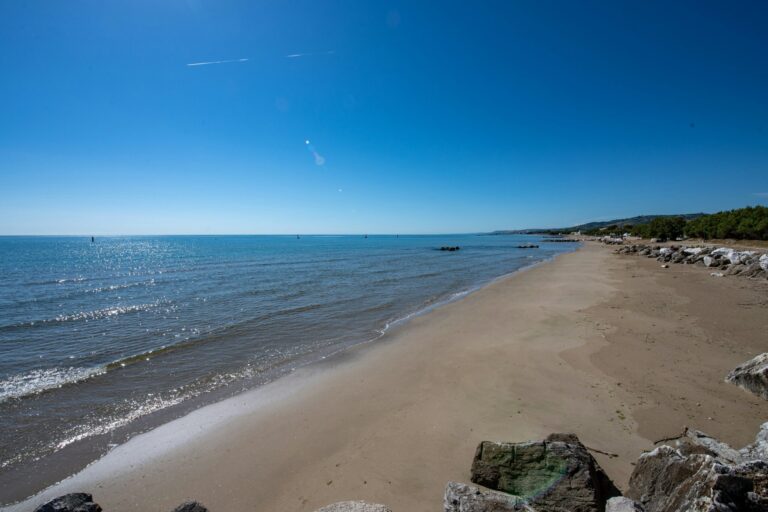 Stork Family Collection - Bild 6