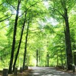 Evedals Camping Växjö - Bild 1