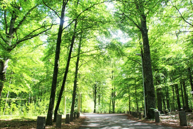 Evedals Camping Växjö - Bild 1