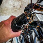 Swecamp Saltviks Camping - Bild 10