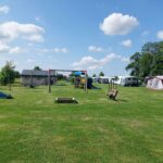 Swichumer Pleats - Bild 3