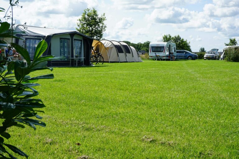 Swichumer Pleats - Bild 6