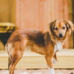 Taiga Conil - Bild 15