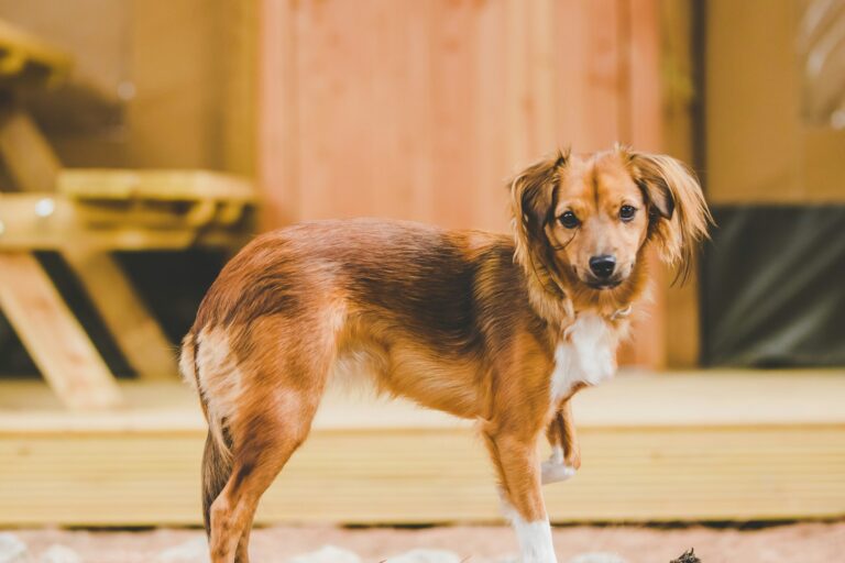 Taiga Conil - Bild 15