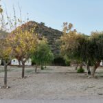 Taiga Costa Calida - Bild 10 Taiga Costa Calida - Bild 10