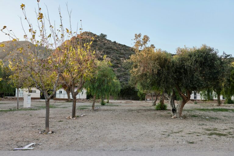 Taiga Costa Calida - Bild 10 Taiga Costa Calida - Bild 10