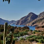 Taiga Costa Calida - Bild 2 Taiga Costa Calida - Bild 2