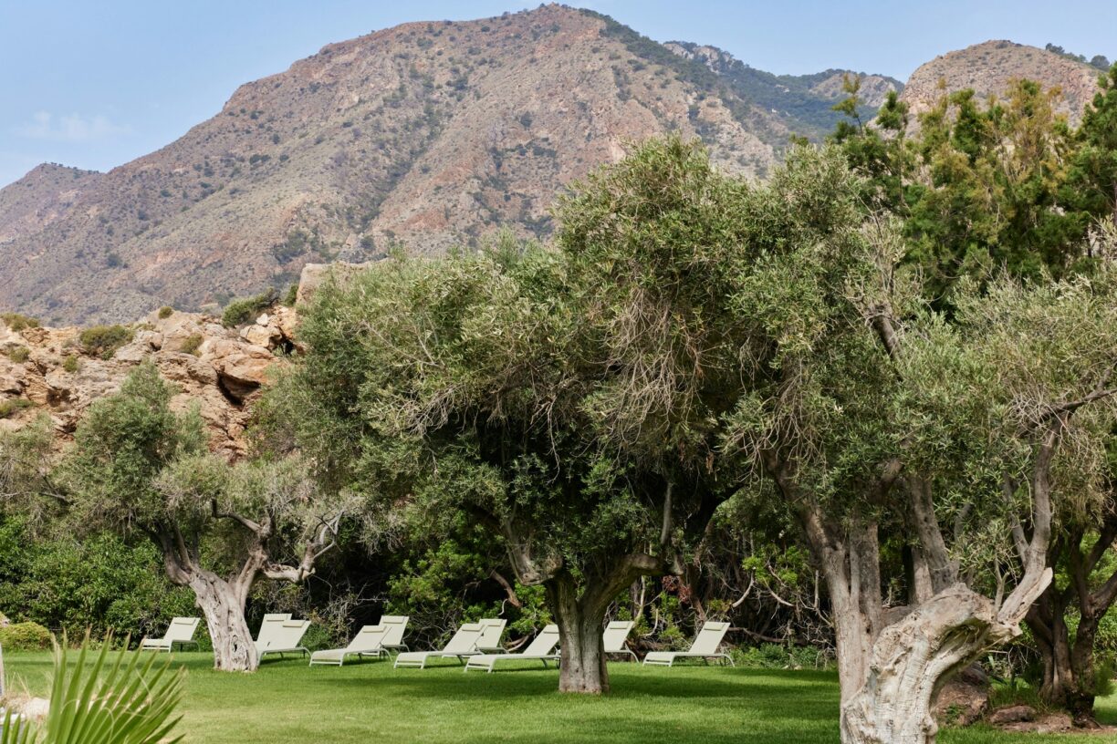 Taiga Costa Calida - Bild 5 Taiga Costa Calida - Bild 5