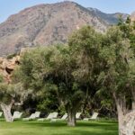 Taiga Costa Calida - Bild 5 Taiga Costa Calida - Bild 5