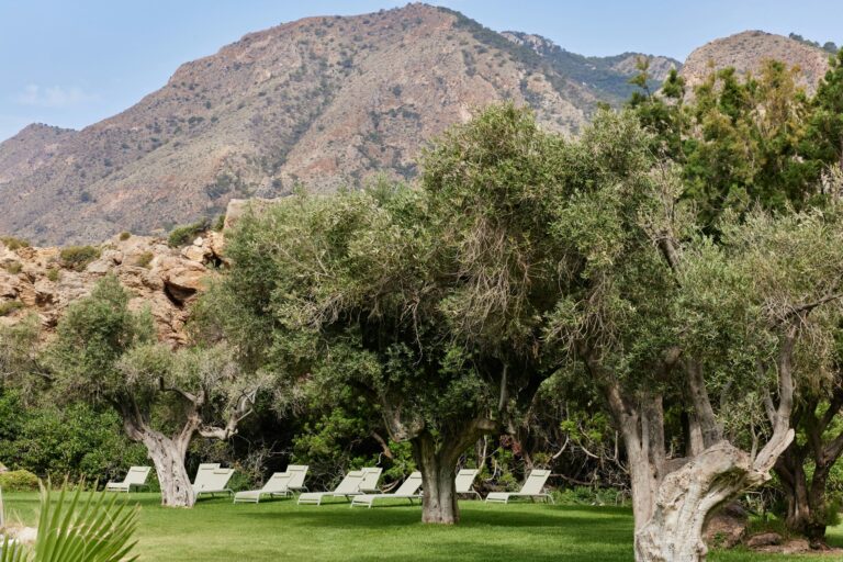 Taiga Costa Calida - Bild 5 Taiga Costa Calida - Bild 5