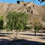 Taiga Costa Calida - Bild 6 Taiga Costa Calida - Bild 6