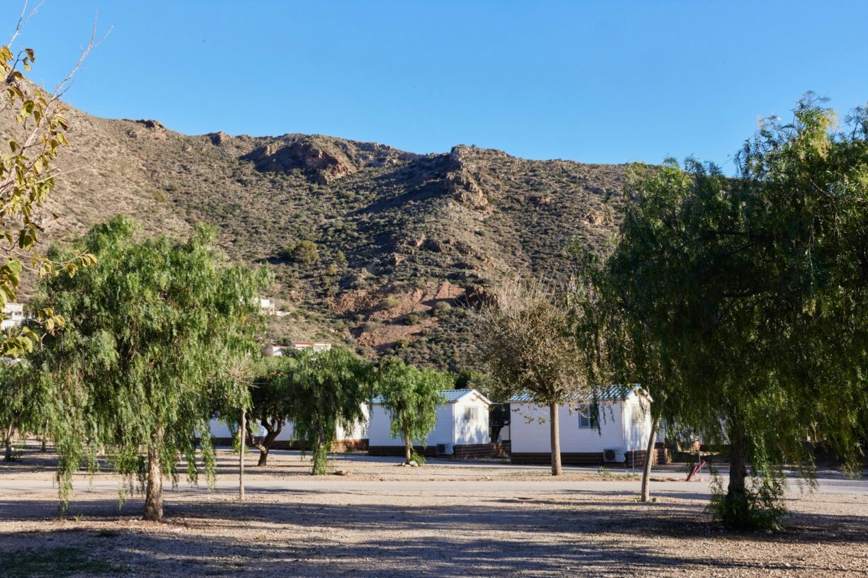 Taiga Costa Calida - Bild 7 Taiga Costa Calida - Bild 7