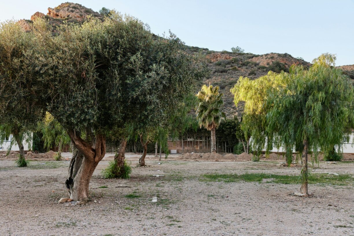 Taiga Costa Calida - Bild 9 Taiga Costa Calida - Bild 9