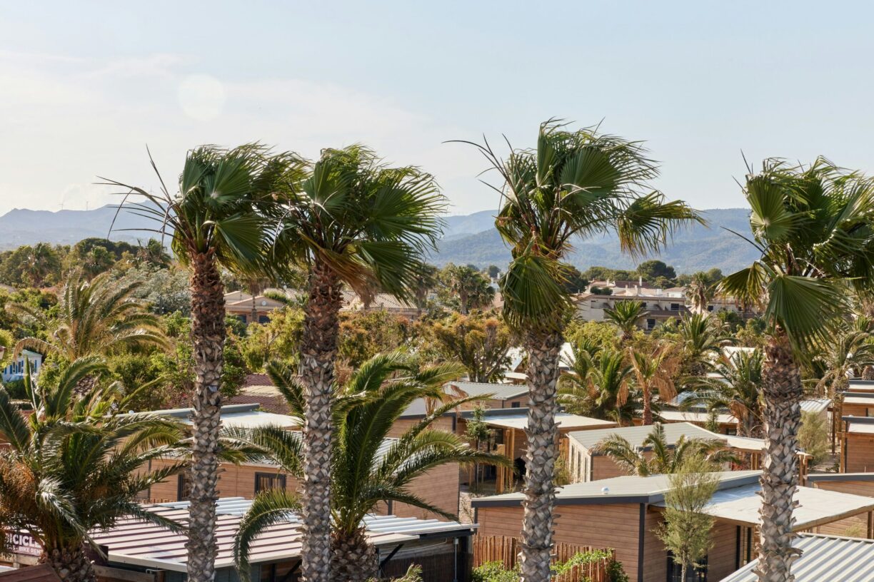 Taiga Delta De L'ebre - Bild 11 Taiga Delta De L'ebre - Bild 11