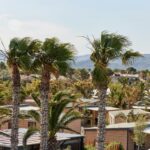 Taiga Delta De L'ebre - Bild 11 Taiga Delta De L'ebre - Bild 11