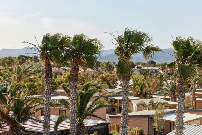 Taiga Delta De L'ebre - Bild 11 Taiga Delta De L'ebre - Bild 11