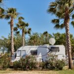 Taiga Delta De L'ebre - Bild 2 Taiga Delta De L'ebre - Bild 2