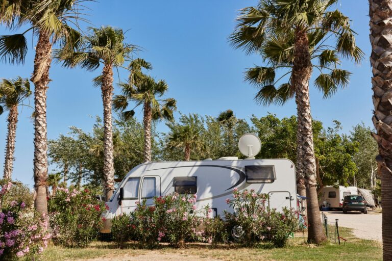 Taiga Delta De L'ebre - Bild 2 Taiga Delta De L'ebre - Bild 2