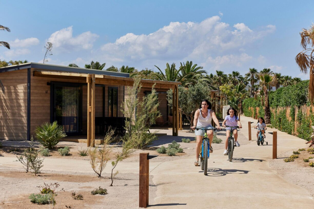 Taiga Delta De L'ebre - Bild 3 Taiga Delta De L'ebre - Bild 3