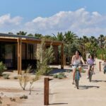 Taiga Delta De L'ebre - Bild 3 Taiga Delta De L'ebre - Bild 3