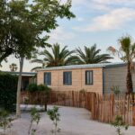 Taiga Delta De L'ebre - Bild 4 Taiga Delta De L'ebre - Bild 4