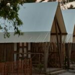 Taiga Delta De L'ebre - Bild 9 Taiga Delta De L'ebre - Bild 9