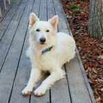 Taiga Lake Caspe - Bild 20