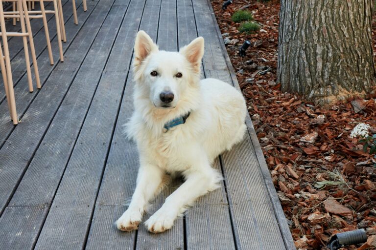 Taiga Lake Caspe - Bild 20