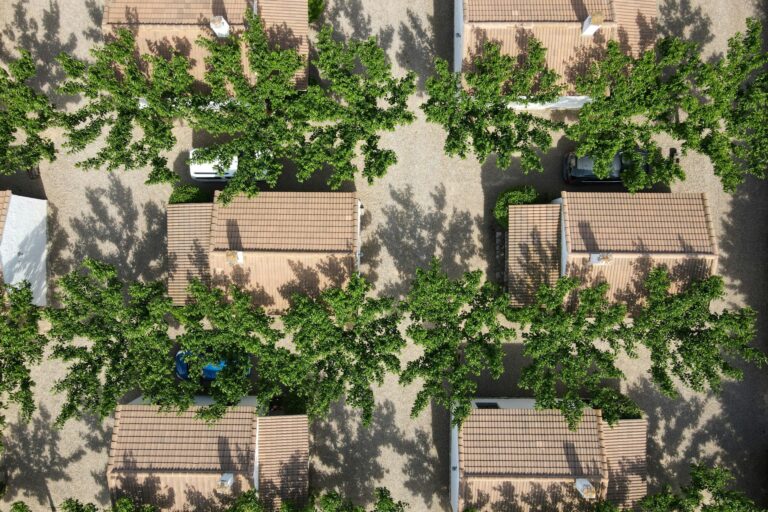 Taiga Lake Caspe - Bild 4