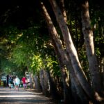 Taiga Lake Caspe - Bild 5