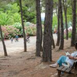 Taiga Lake Caspe - Bild 9