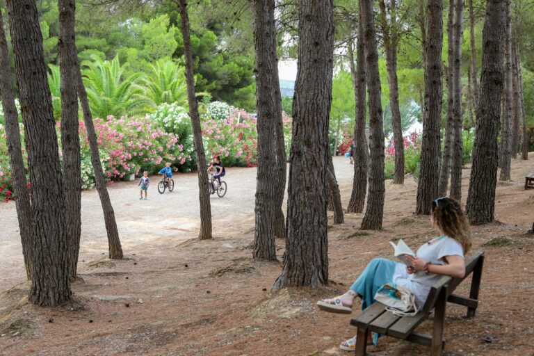 Taiga Lake Caspe - Bild 9