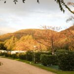 Taiga Tarifa Valdevaqueros - Bild 10