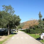 Taiga Tarifa Valdevaqueros - Bild 7