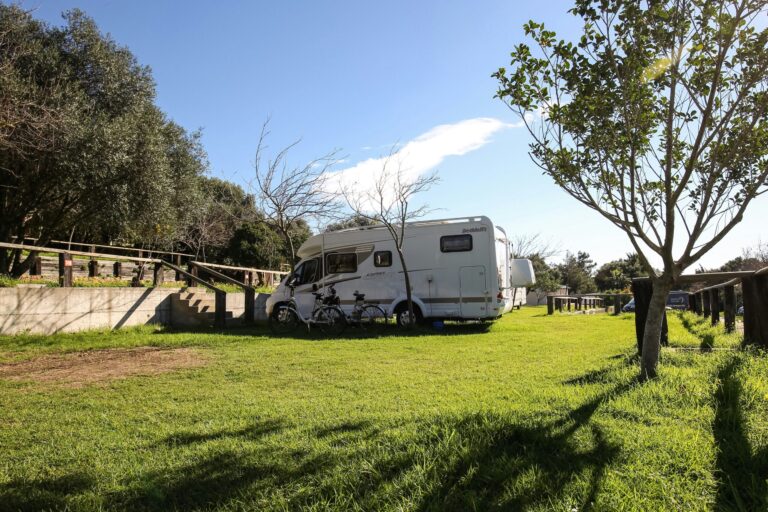 Taiga Tarifa Valdevaqueros - Bild 8