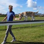 Thorsminde Camping And Motorhomespot - Bild 6