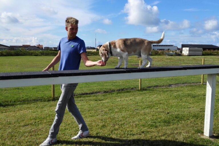 Thorsminde Camping And Motorhomespot - Bild 6