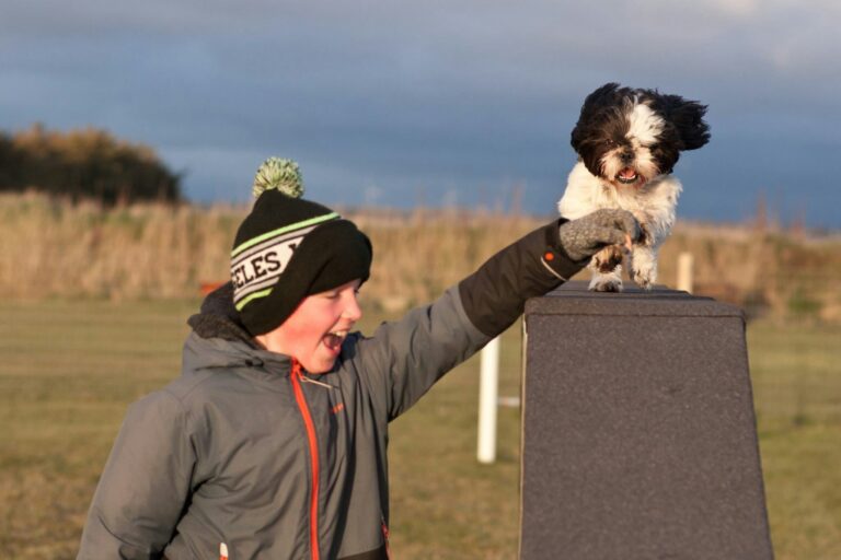 Thorsminde Camping And Motorhomespot - Bild 7