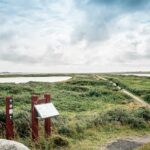 Thyborøn Camping And Cottages - Bild 12