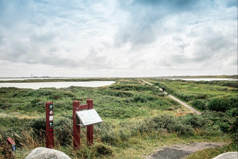 Thyborøn Camping And Cottages - Bild 12