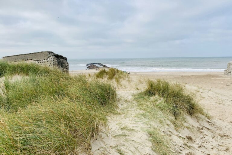 Thyborøn Camping And Cottages - Bild 13