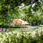 Tinyparks Tiengemeten - Bild 3 Tinyparks Tiengemeten - Bild 3