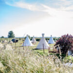 Tinyparks Tiengemeten - Bild 6 Tinyparks Tiengemeten - Bild 6