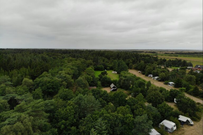 Tipperne Camping - Bild 1 Tipperne Camping - Bild 1