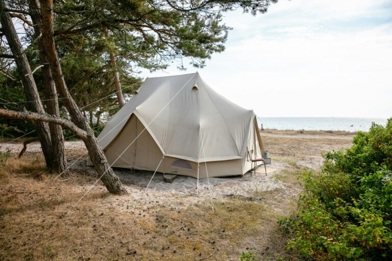 Tofta Camping - Bild 4