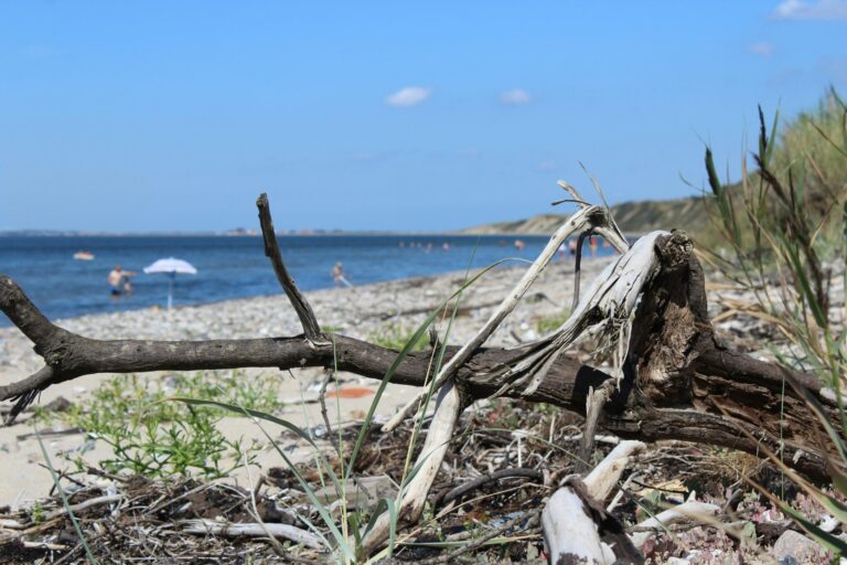 Toftum Bjerge Camping - Bild 2